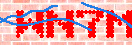 キャプチャ画像