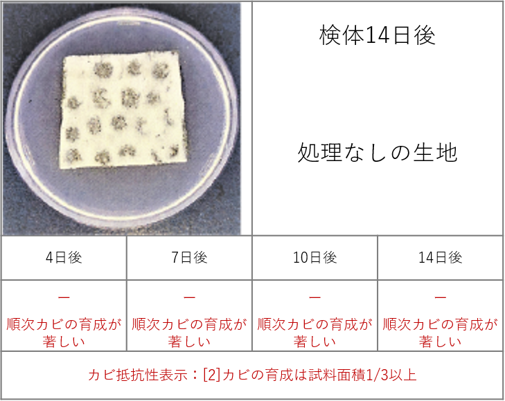 図31